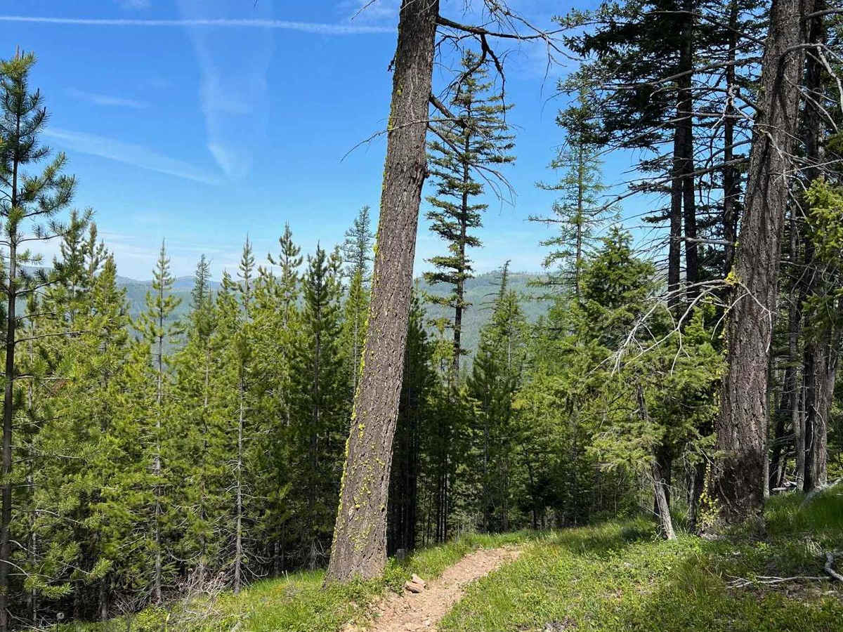 Ashley Mountain photo 3