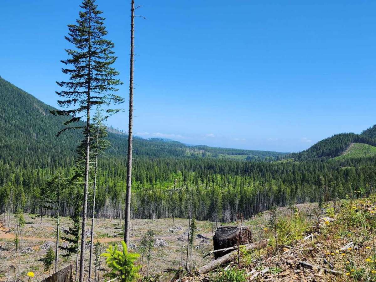 Jefferson Ridge Road photo 5