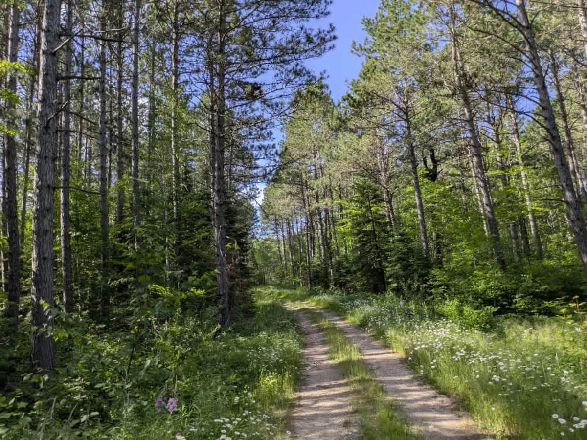 McNiven Spur C trail photo