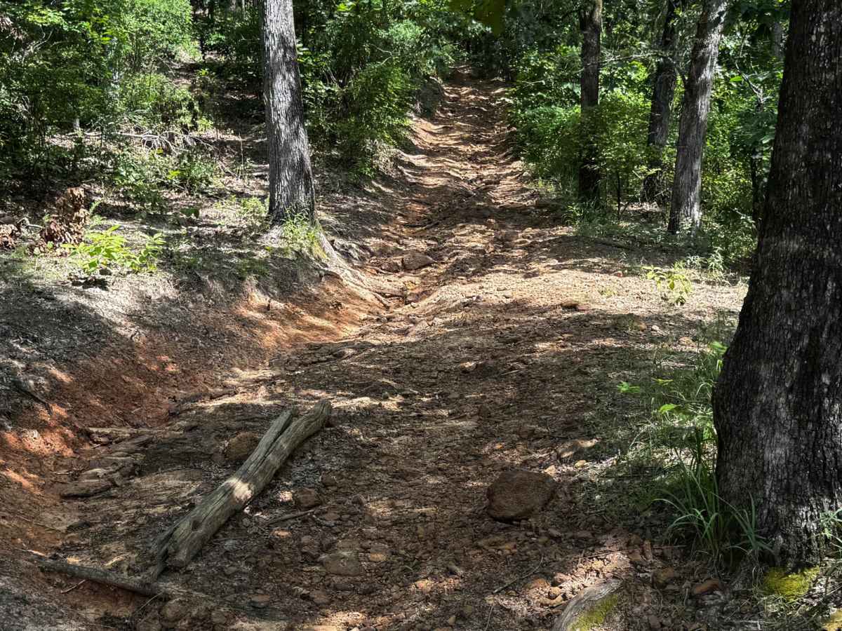 Scorpion Pass trail photo