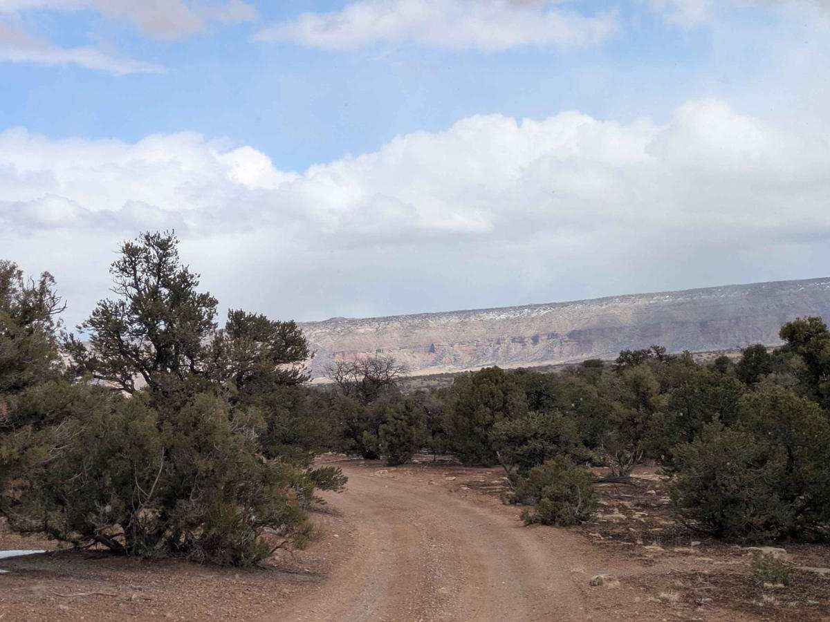 Wedge Overlook Loop 1 photo 2