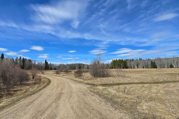 Gosling Lake Trail