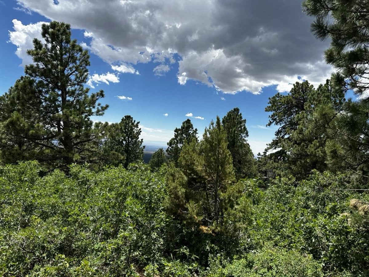 Trail 55255 to 55258 photo 3