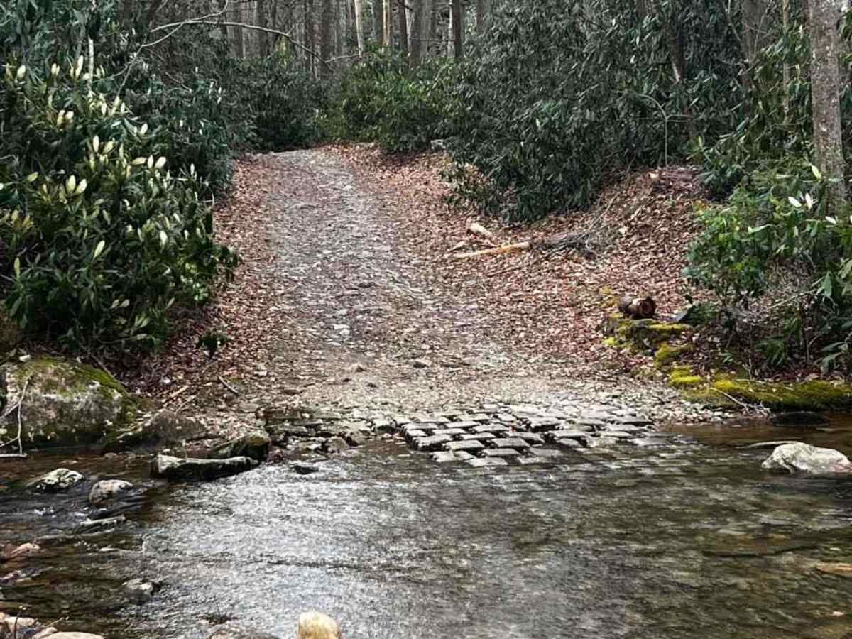 Horse Creek trail photo