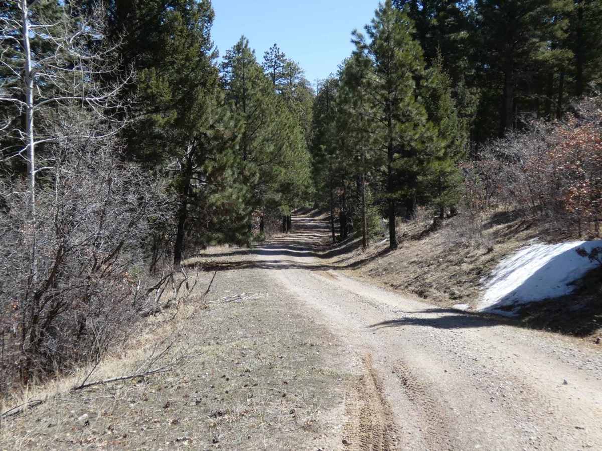 Jacques Canyon FSR-719 photo 5