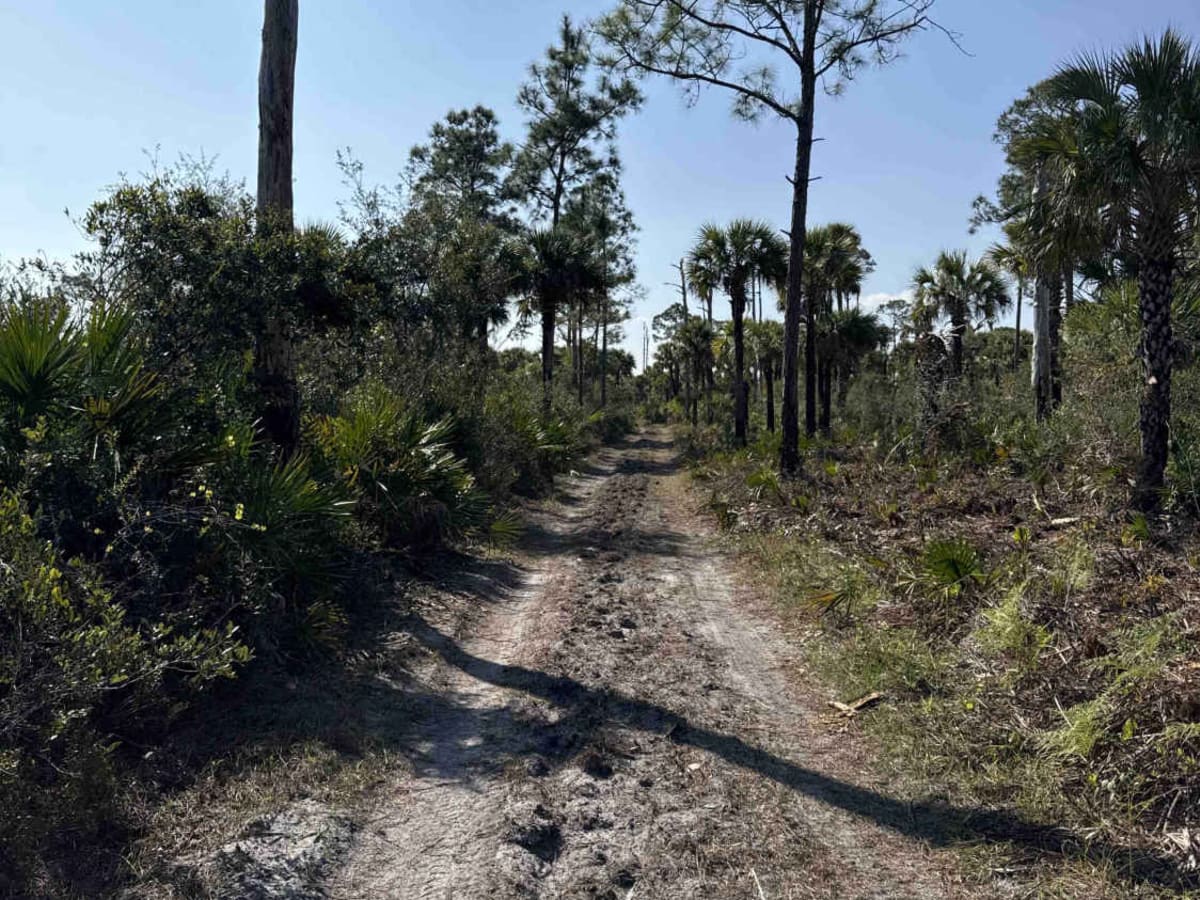 Blue Trail photo 4