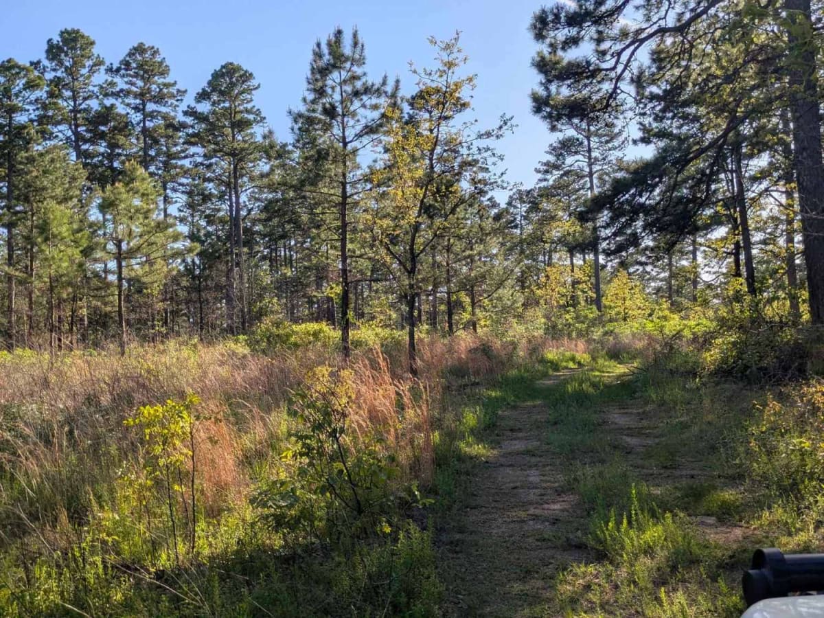 Henry Mountain Road photo 4