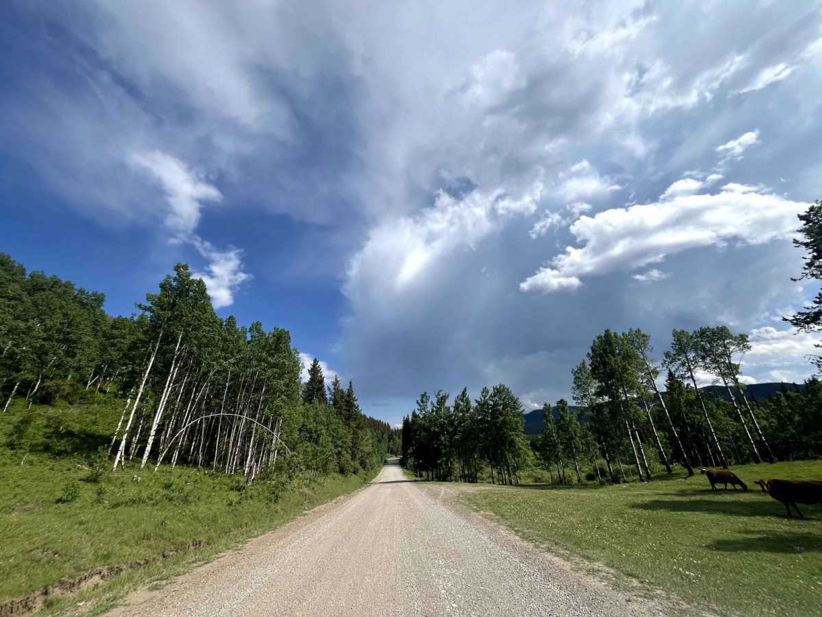 McLean Creek Trail photo 5