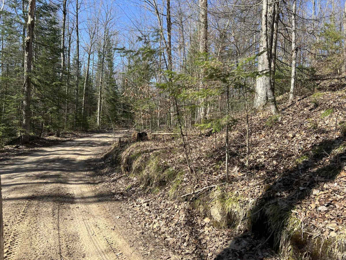 Benton Lake Road South photo 3