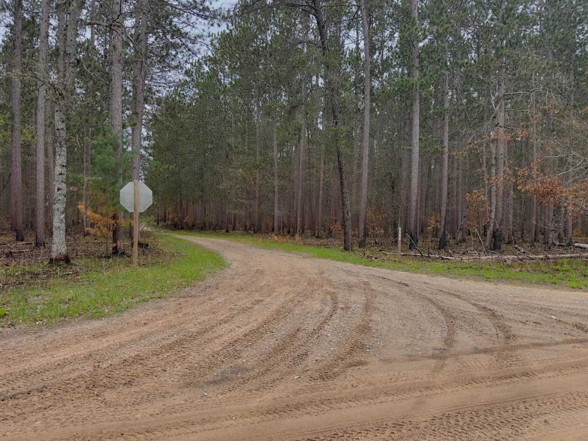 FS 5599 trail photo