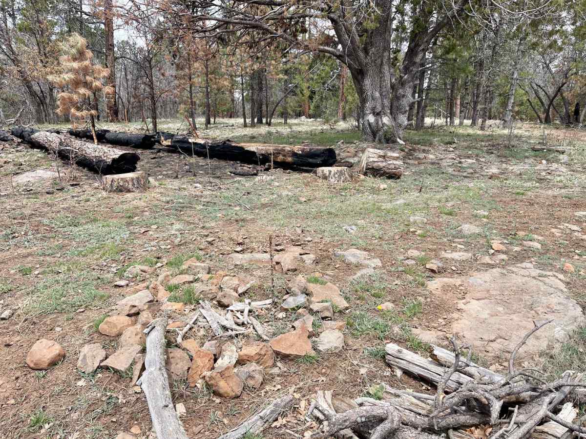Blue Ridge Campground photo 4