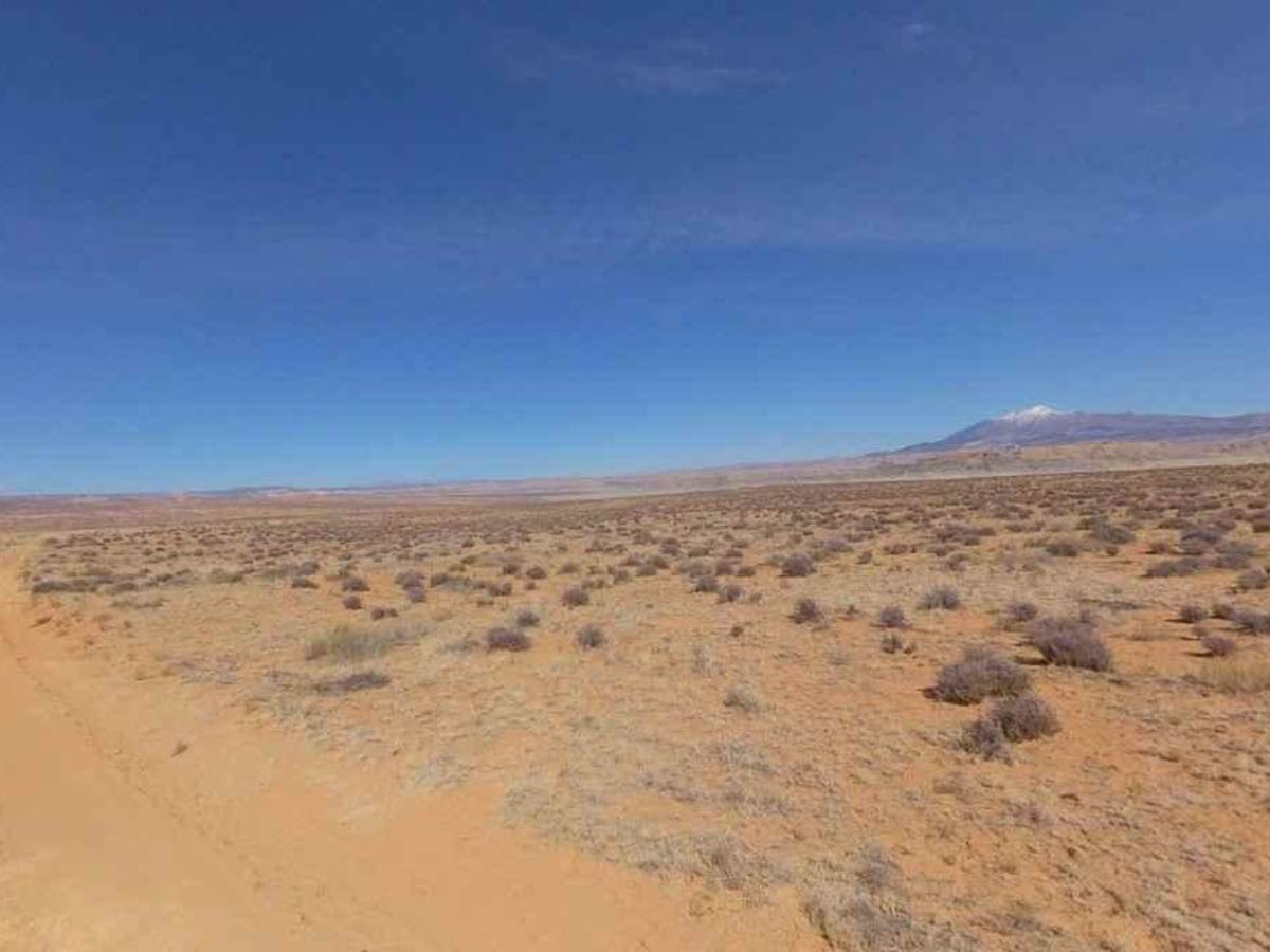 Clay Point-BLM13220 photo 4