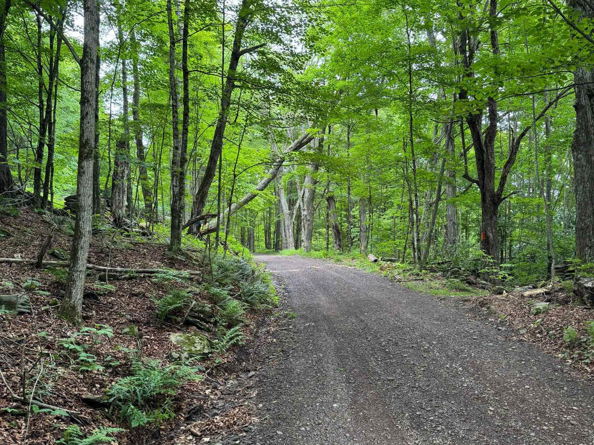 Skunk Hollow Road photo 6
