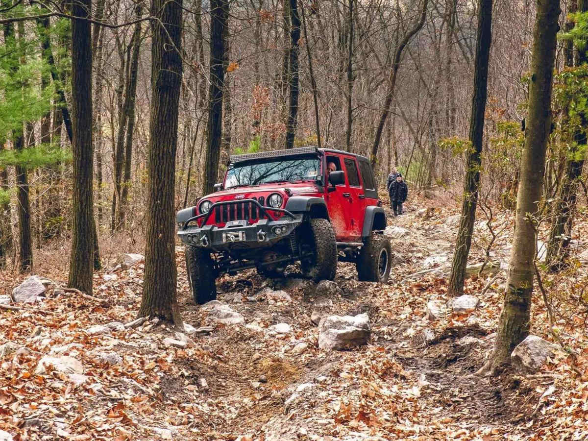 141 Blue photo 5