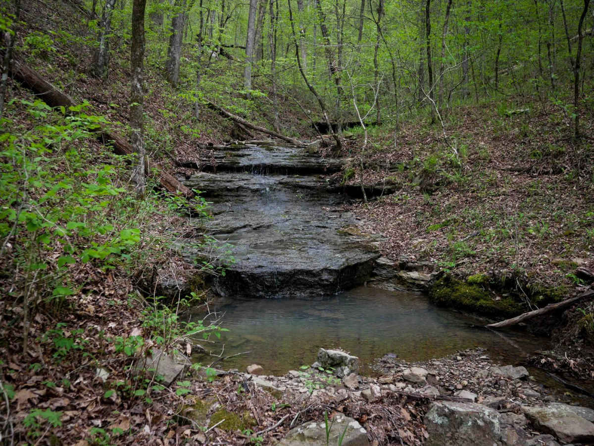 B trail photo
