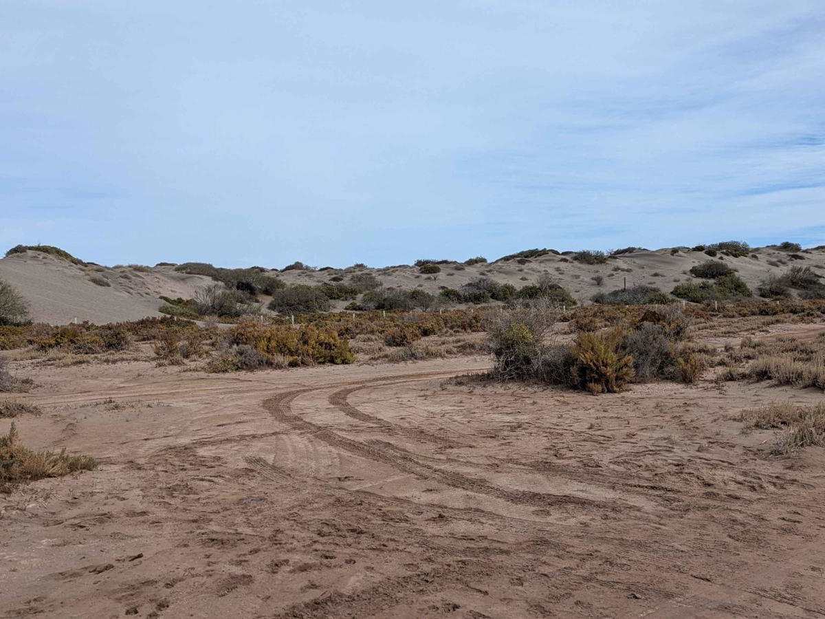 Dunas del Mogote West photo 5