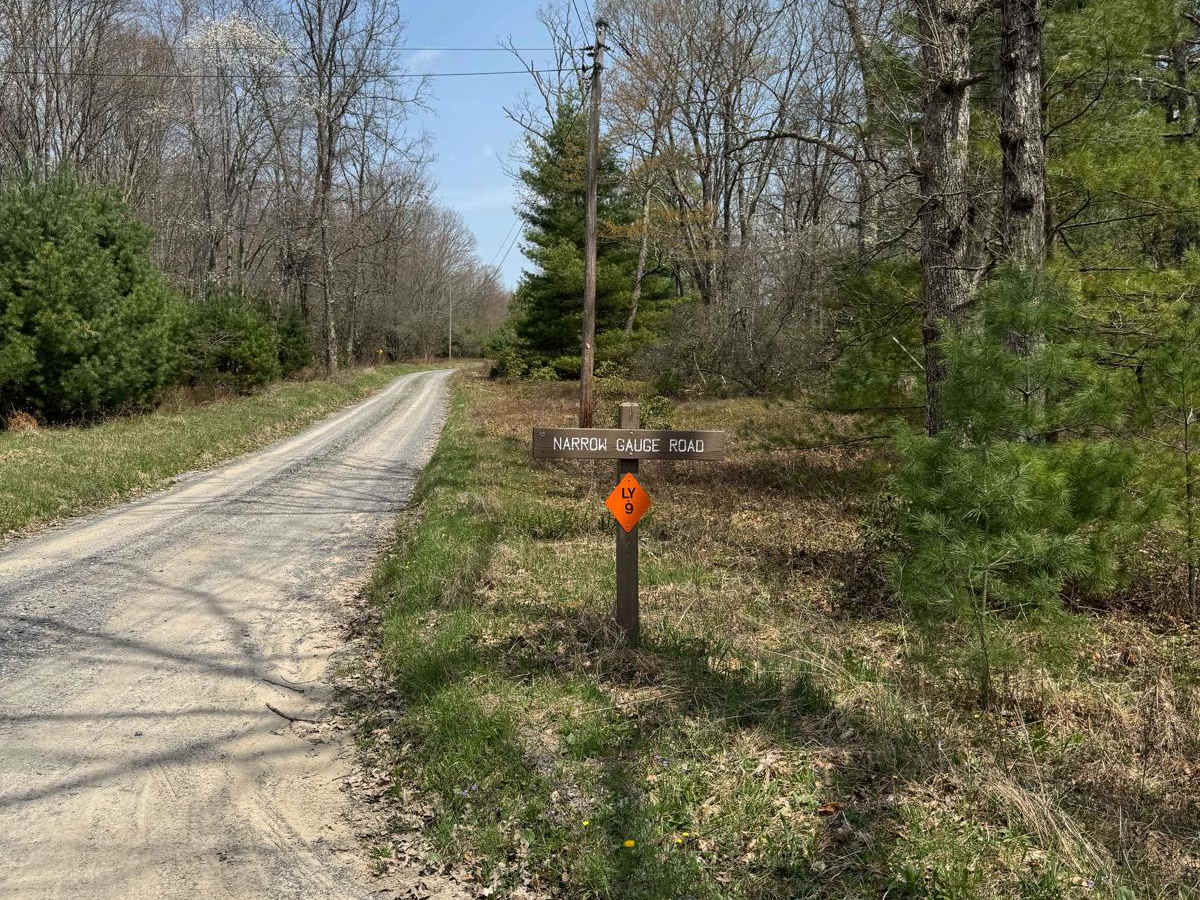 Narrow Gauge Road photo 6