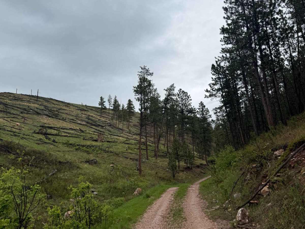 Barrel Springs Br 2B photo 4