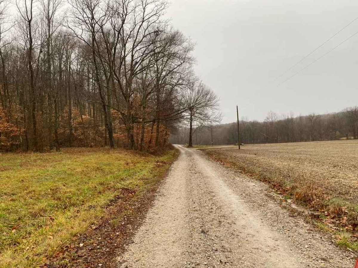 Wilderness Retreat Road photo 5