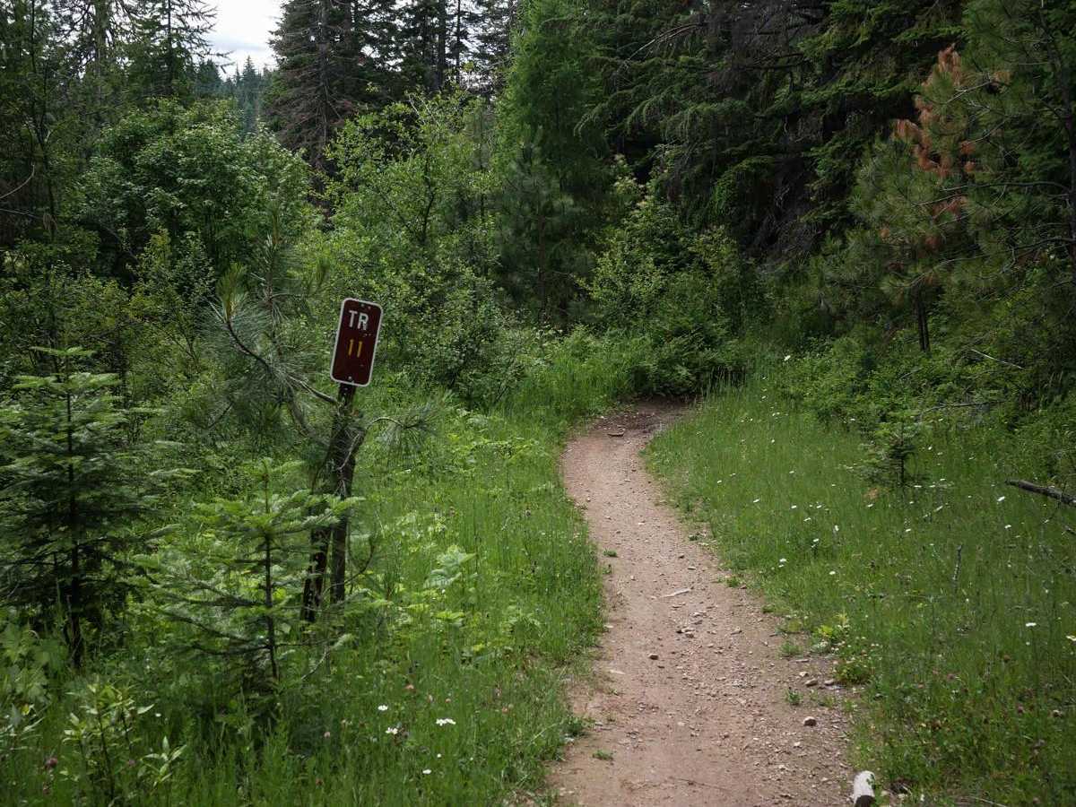 Canfield Mountain- Trail 11 trail photo