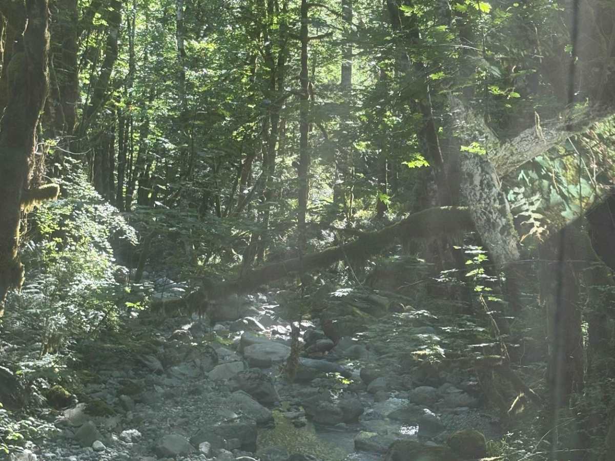 Sherk Lake photo 5