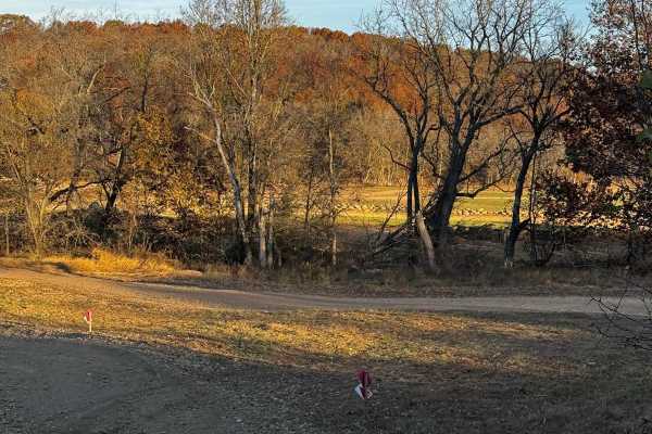 MX Track