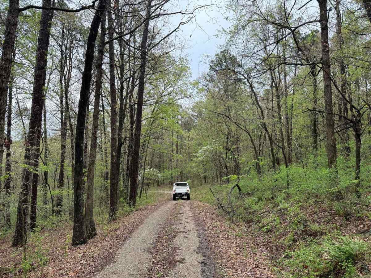 Clifty Creek photo 3