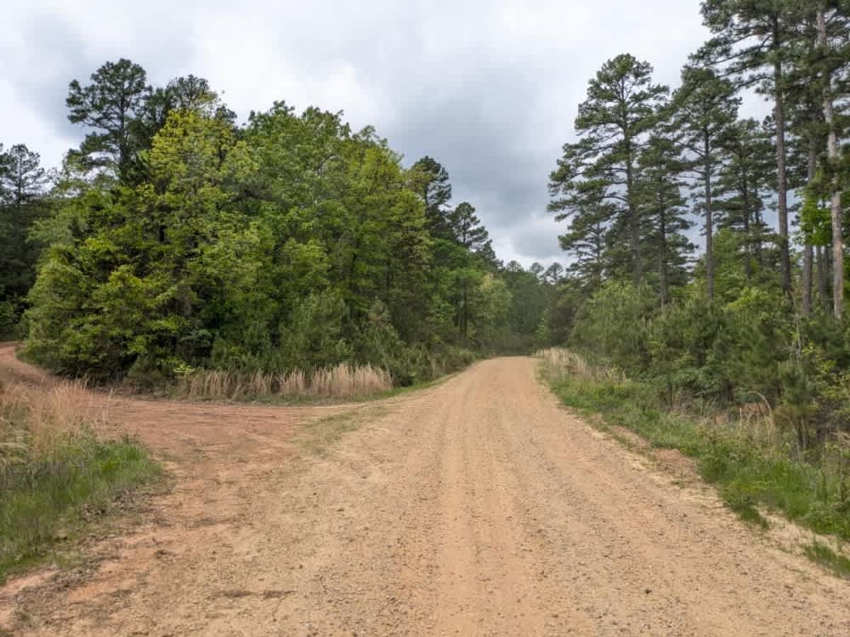 White Creek photo 3