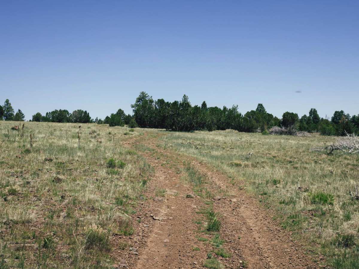 Old 74a trail photo