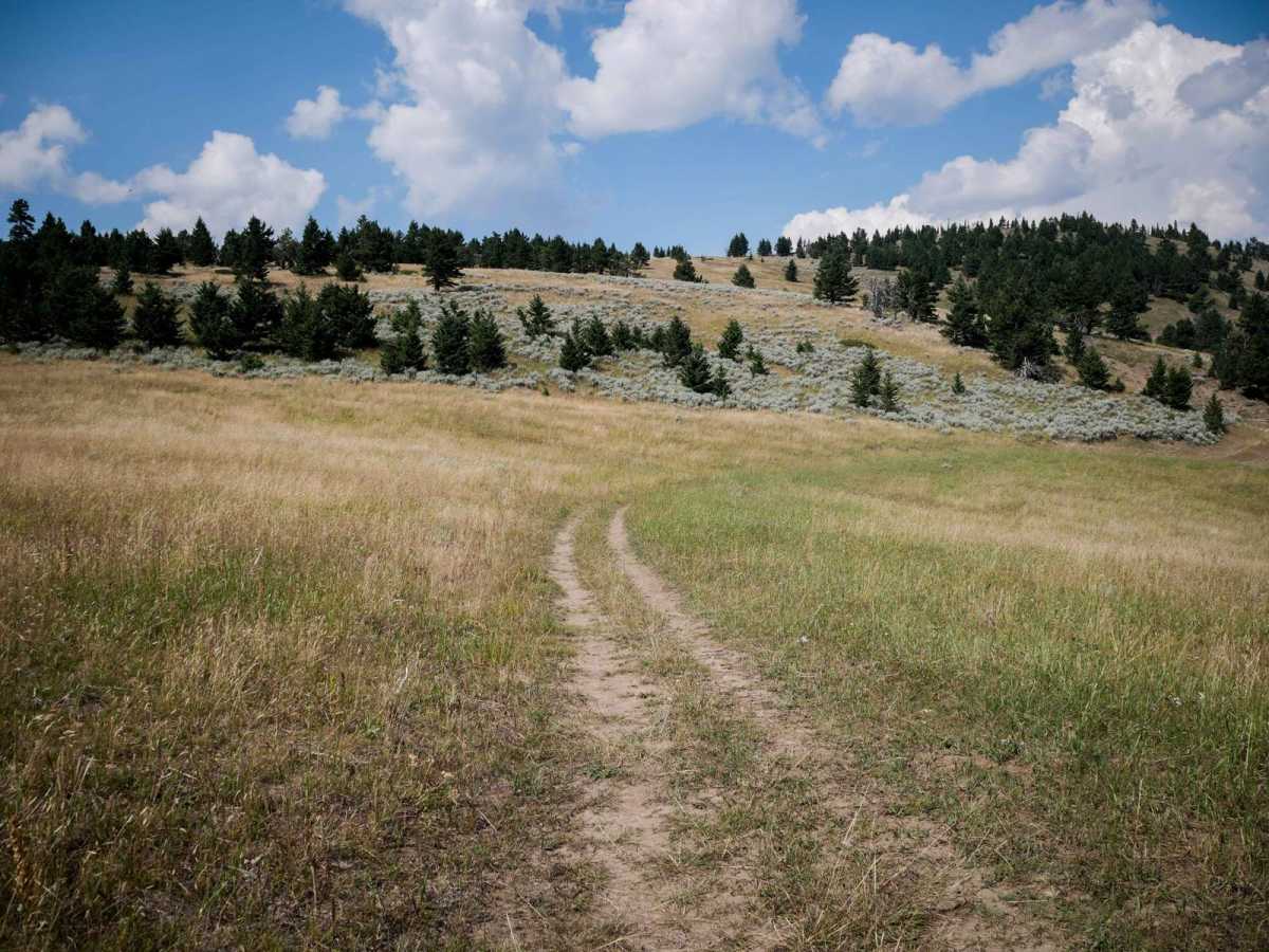 Willow Creek South ATV photo 6