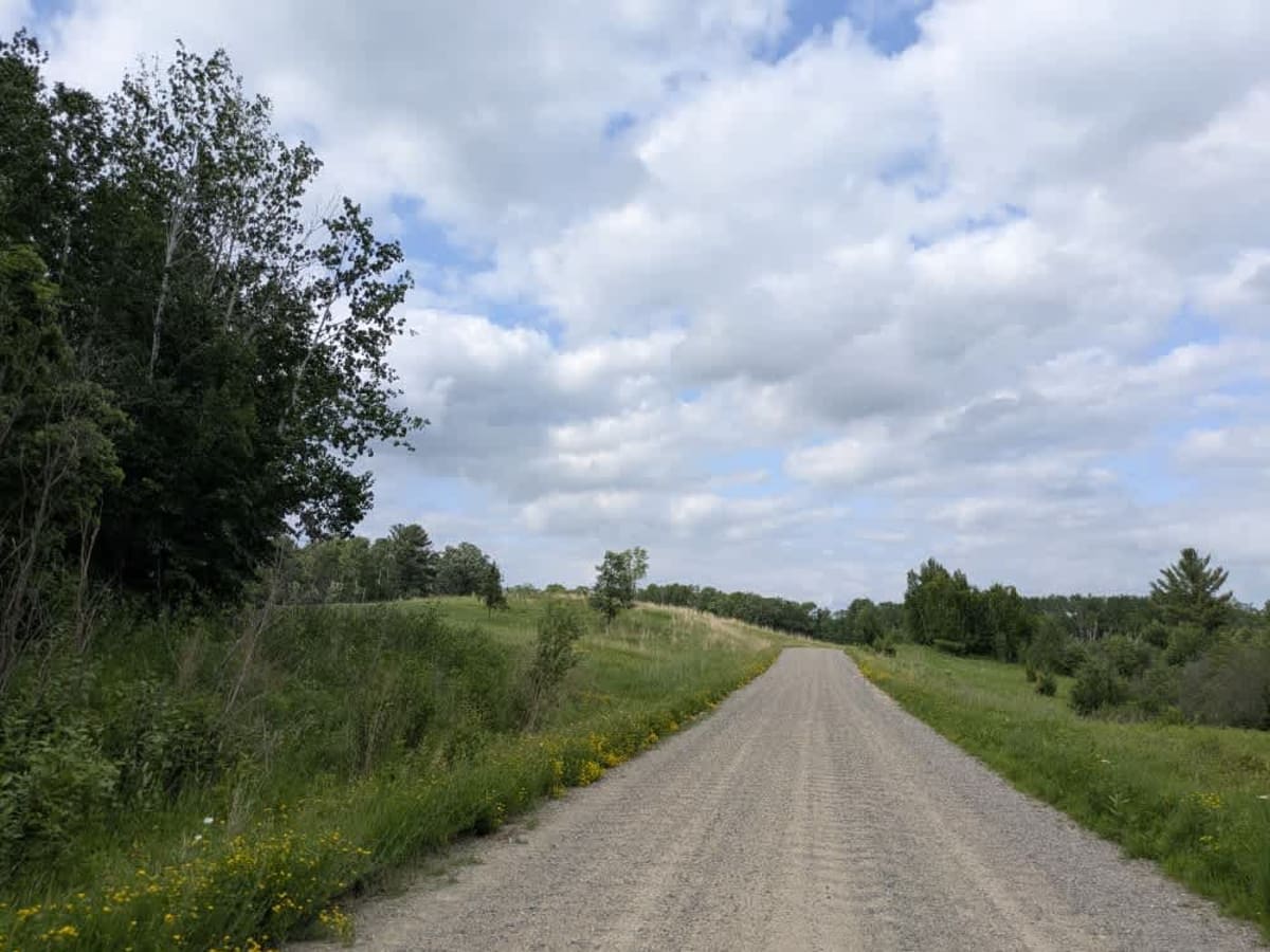 Woodtick Auto Route - FS 2107 photo 5