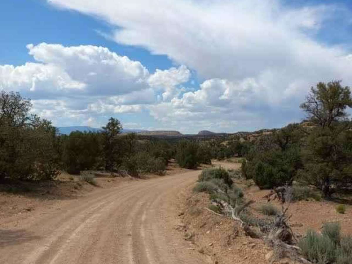 Wolverine Loop Road photo 2