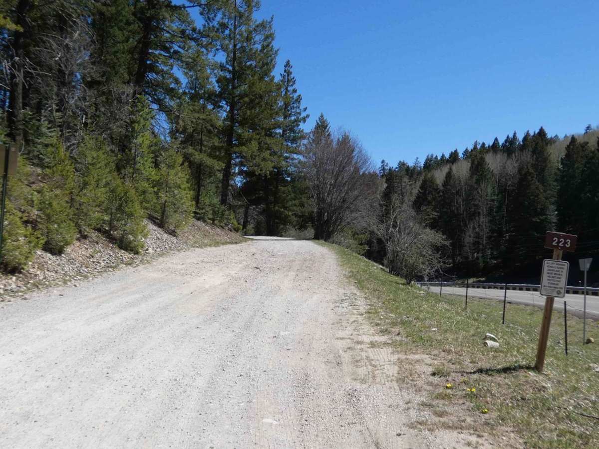 Benson Ridge trail photo