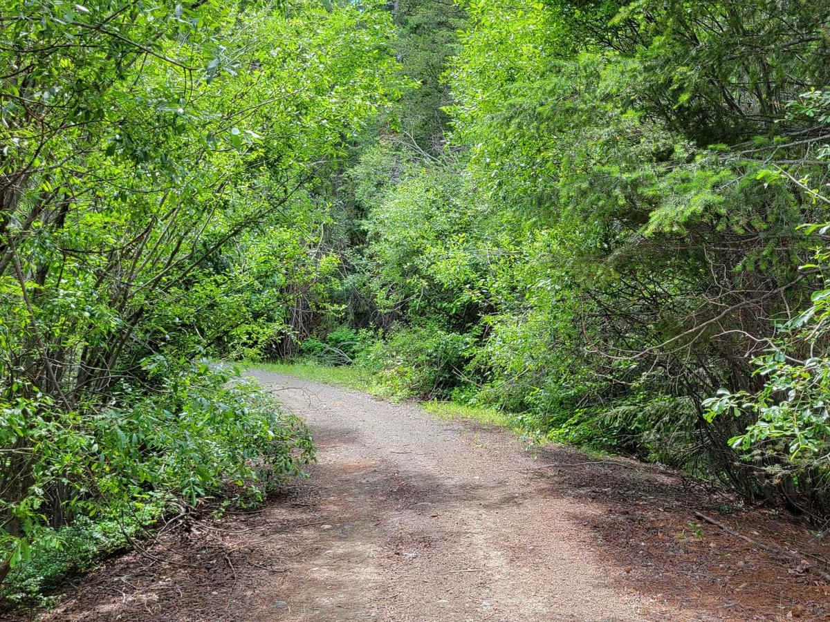 Newby Creek (4350100) photo 2