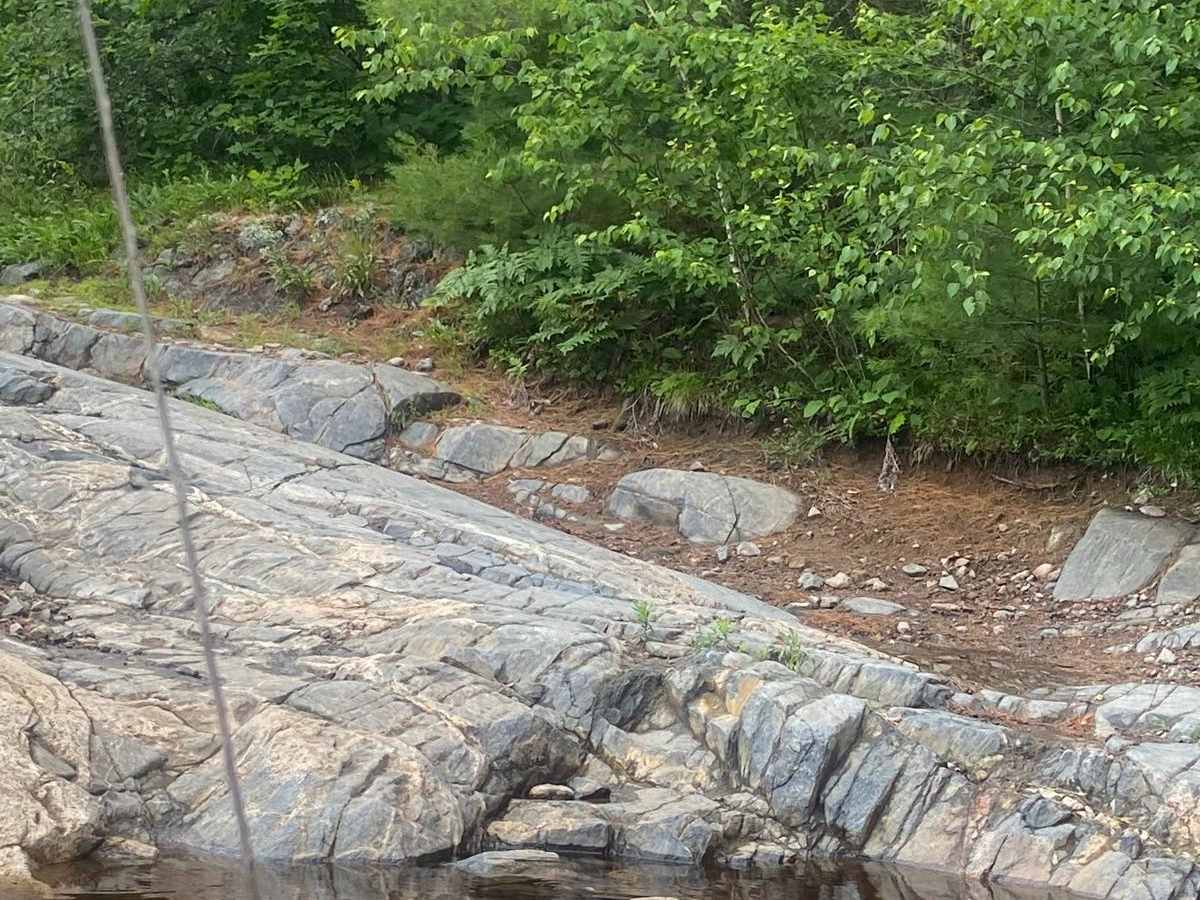 Scotch Line photo 6