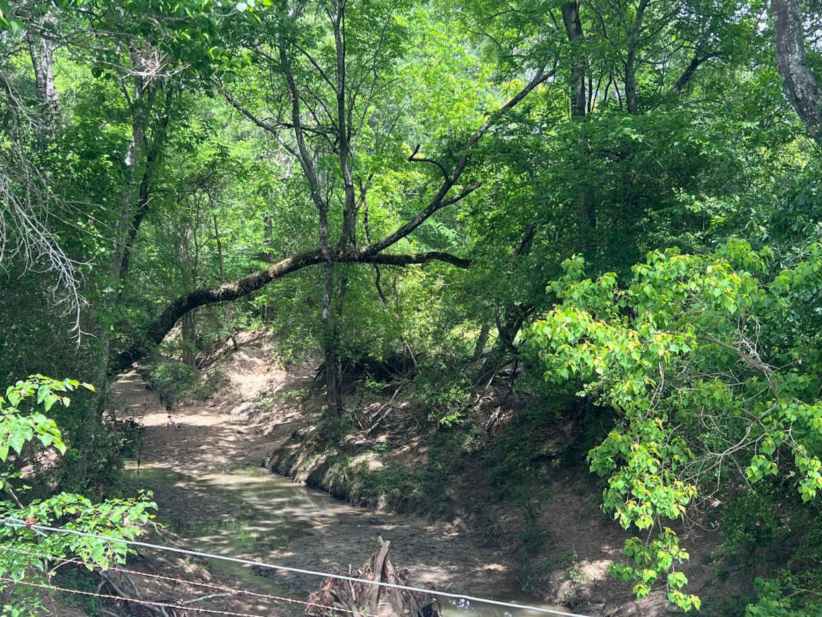 Caney Creek Crawl photo 2