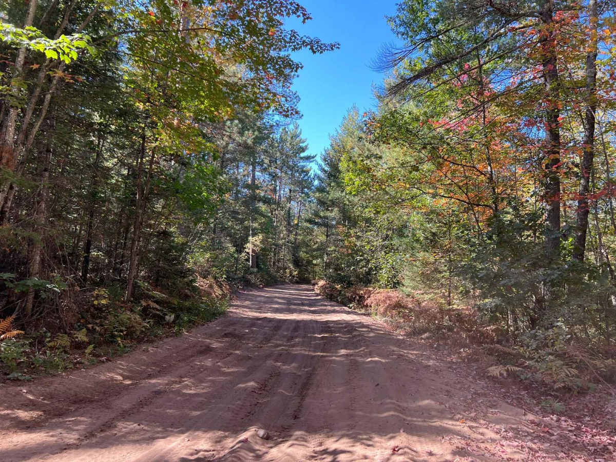 Trail 5- Forest Road 508 photo 4