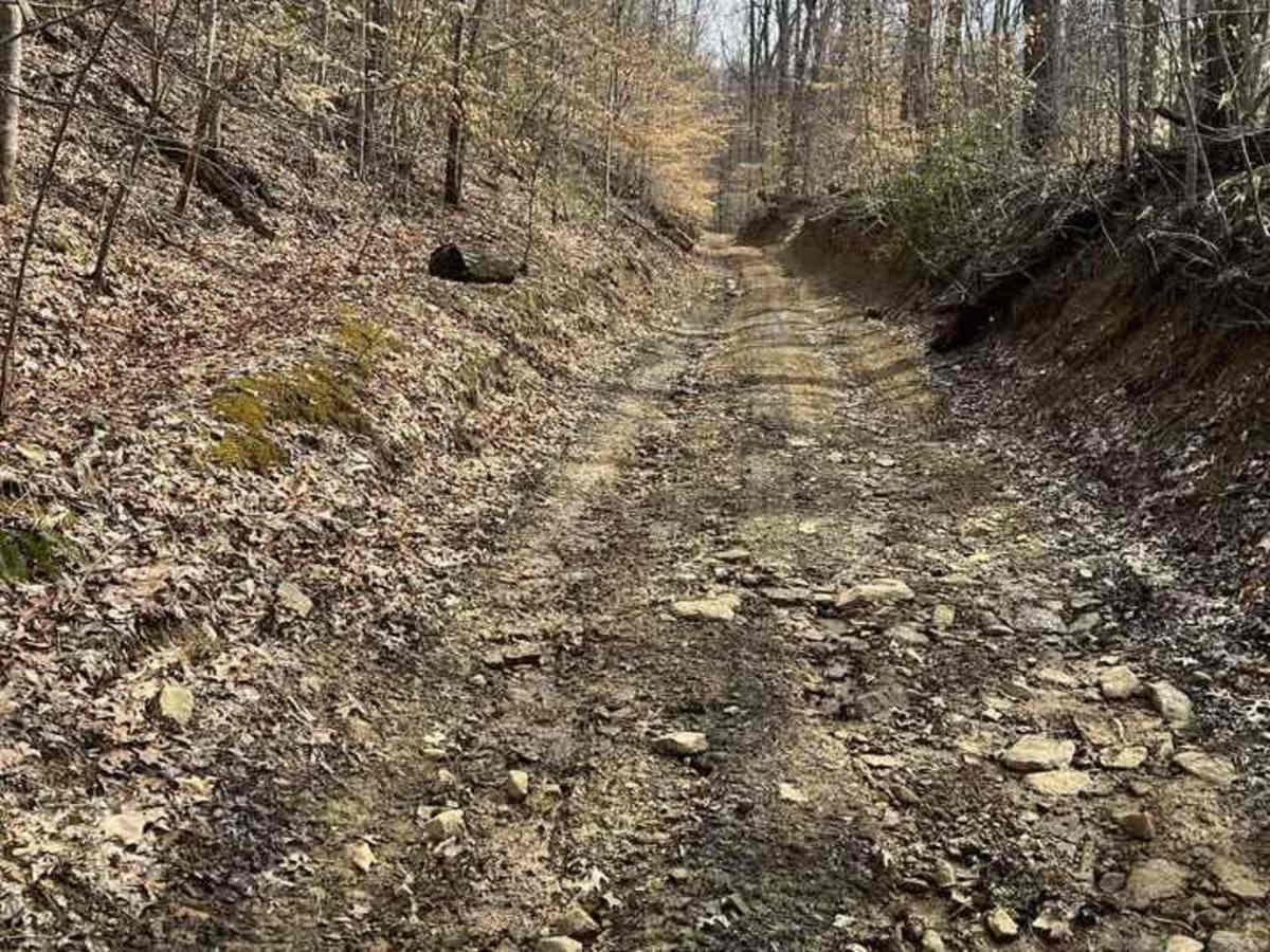 Trail 34 trail photo