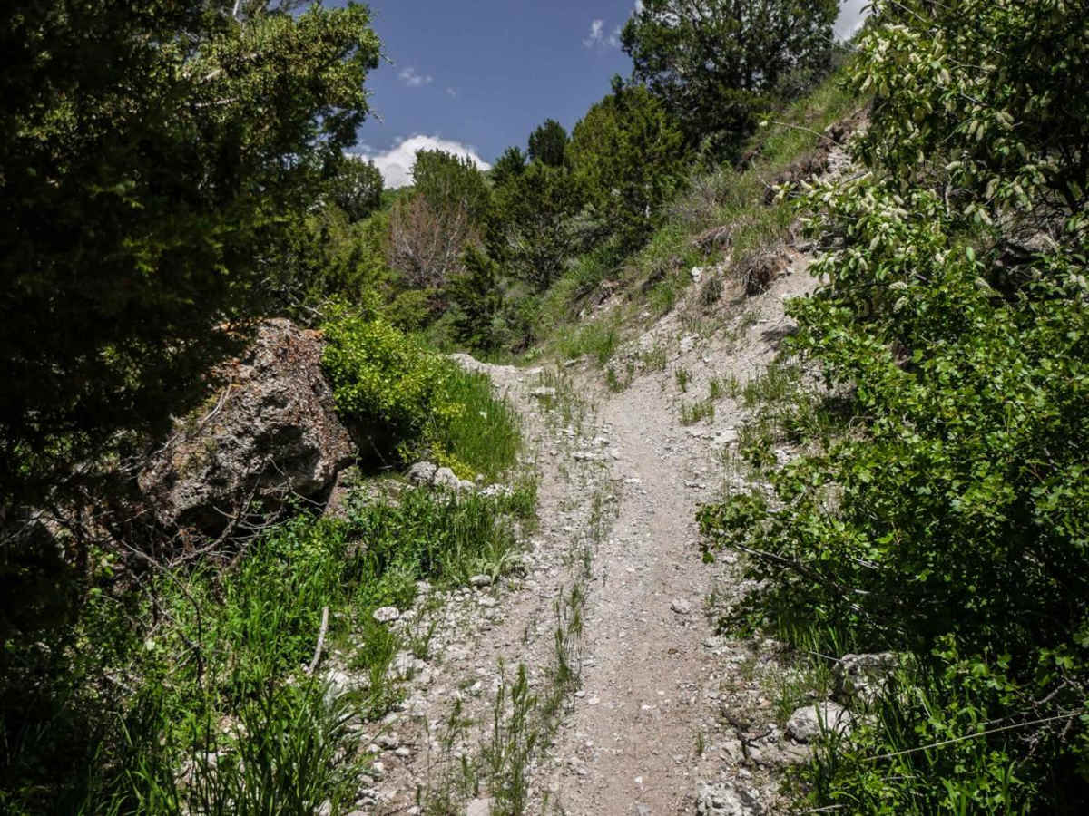 Deep Creek to Ruben Hollow 7440 photo 3