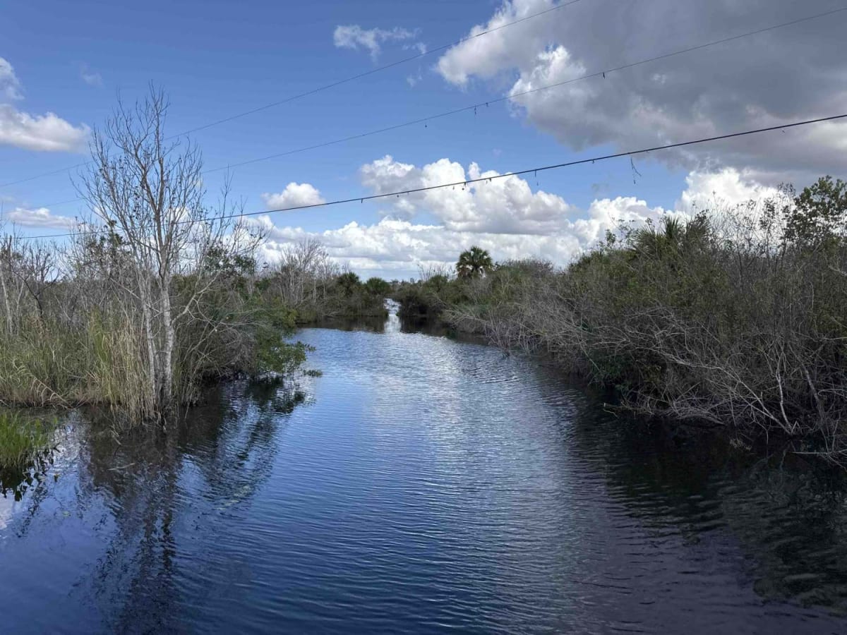 Birdon Road - CR 841 photo 4