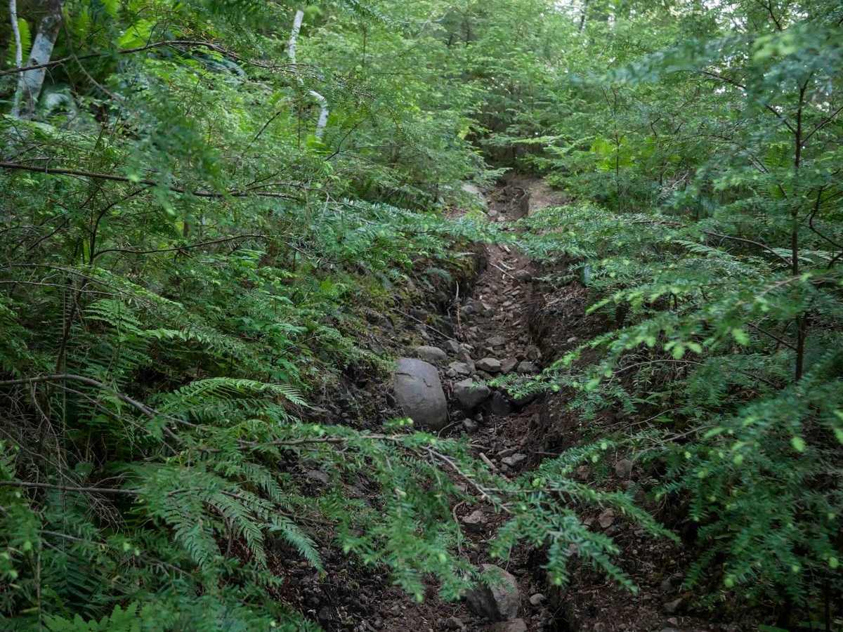 #41E (Difficult) trail photo