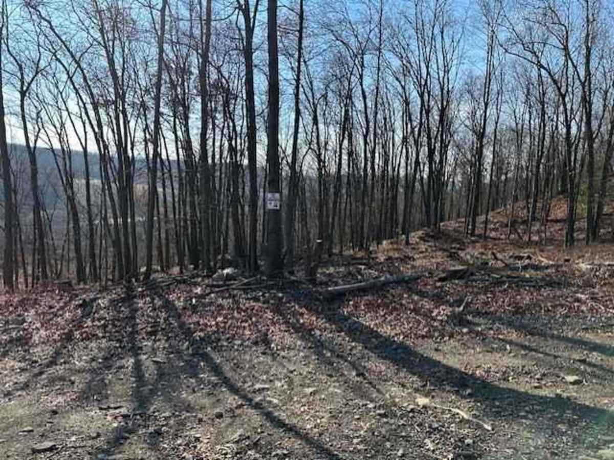 Darkwater 85 trail photo