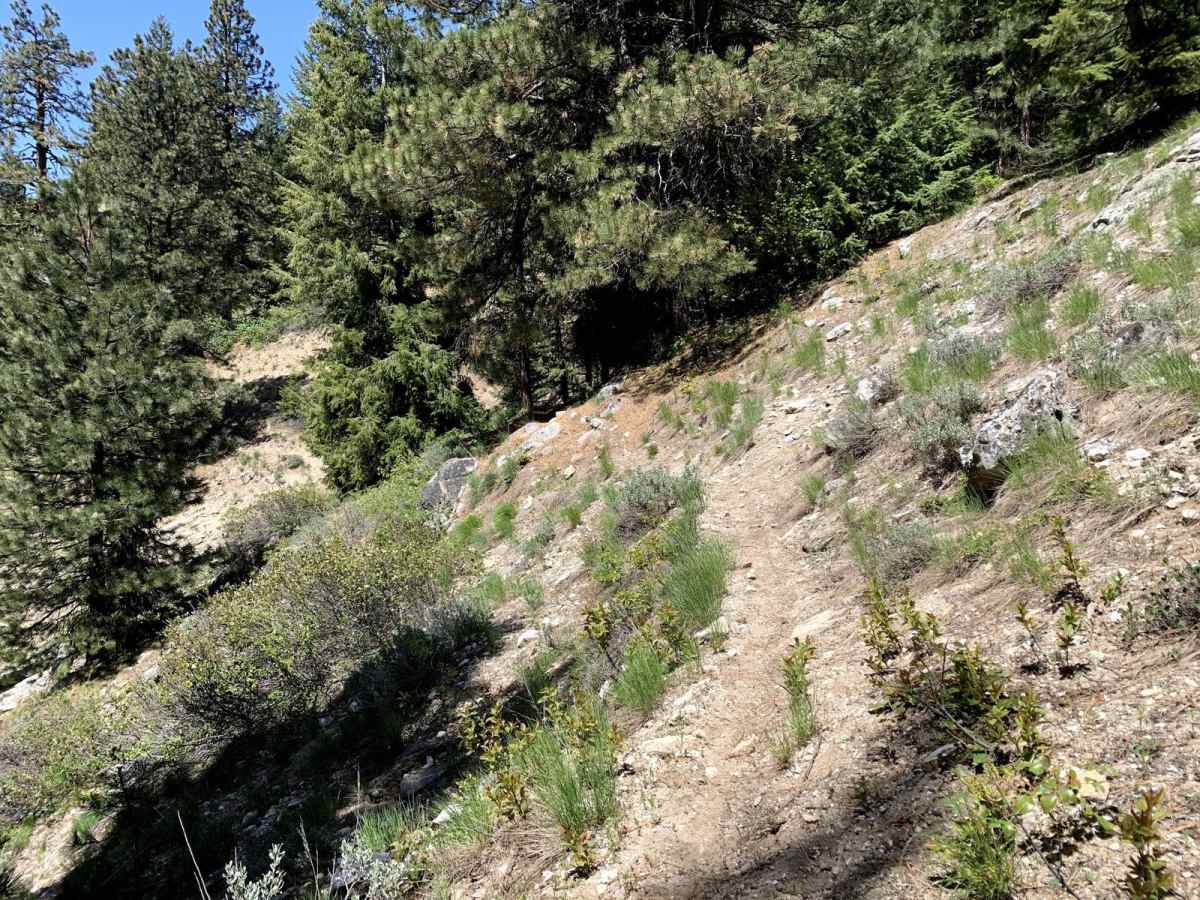 Lupine Gulch photo 3
