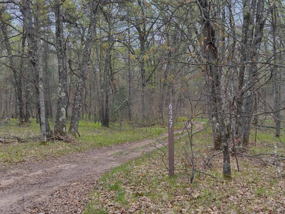 FS 6427 trail photo