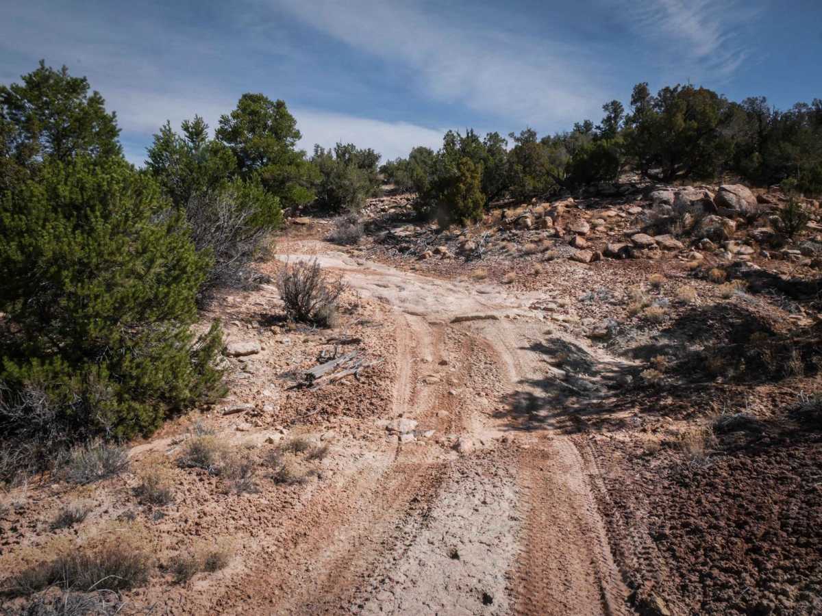 Trail 2 photo 5
