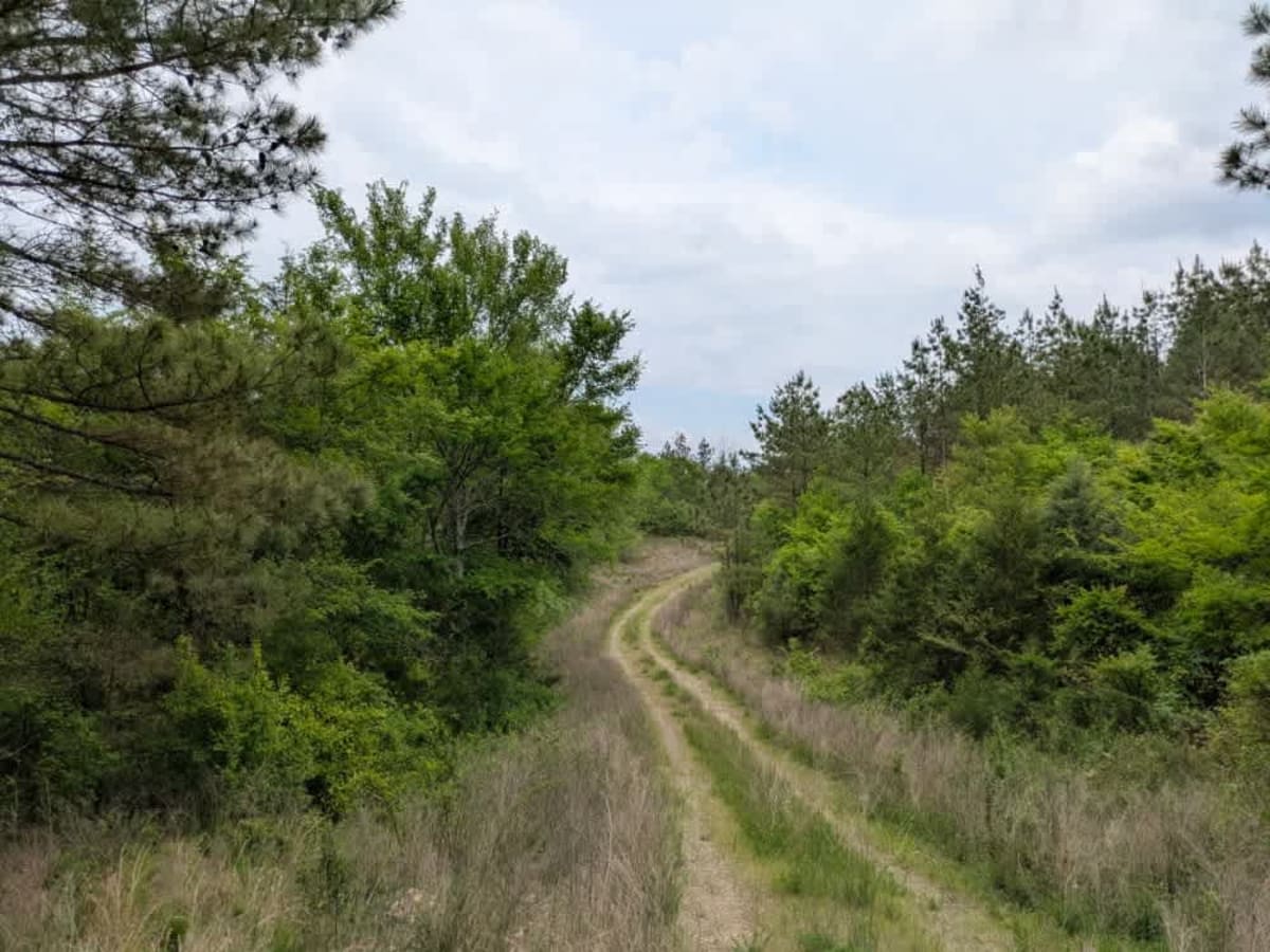 51707 photo 4