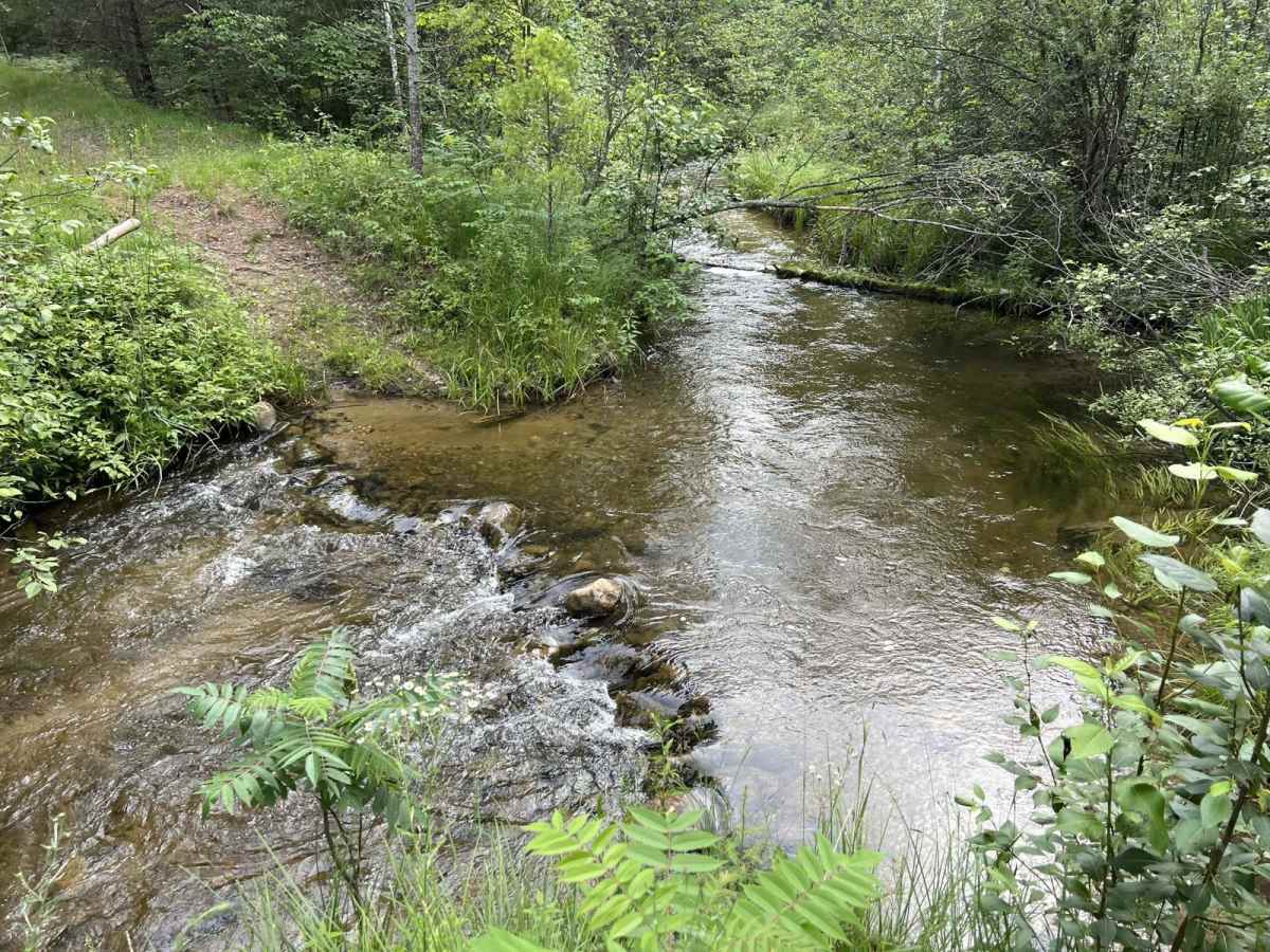 Pots Lake Trail photo 4