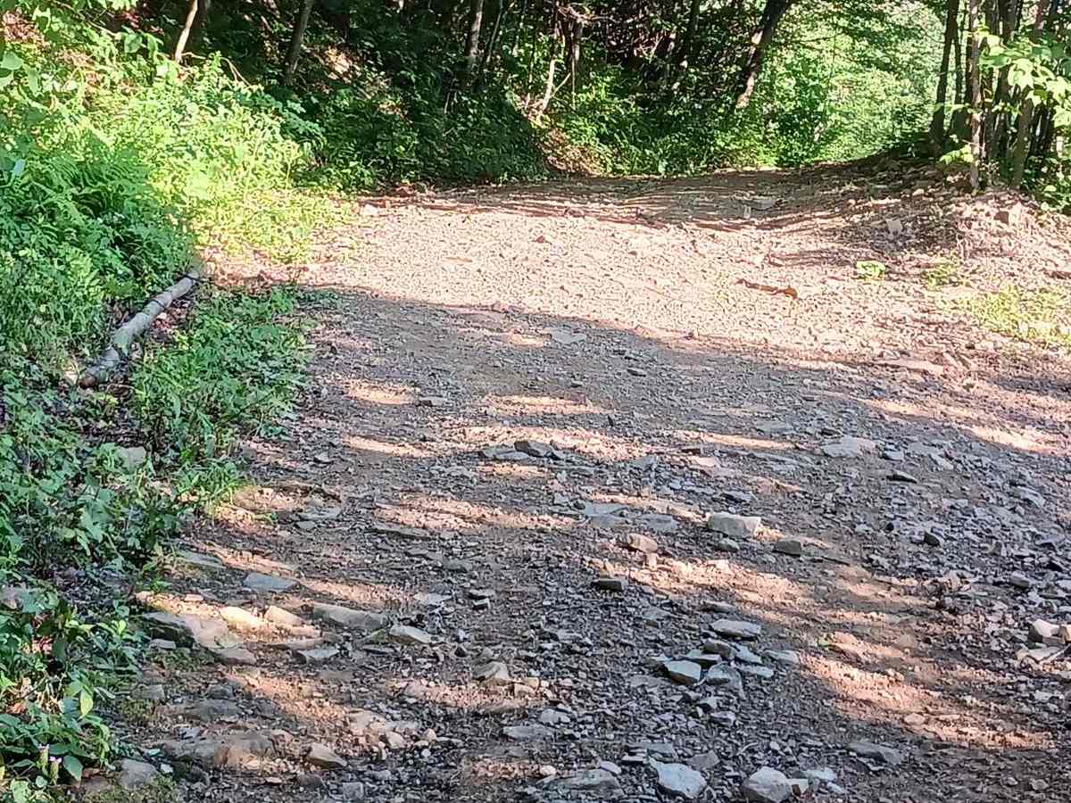Trail 12B - Rock Run Recreation Area photo 4