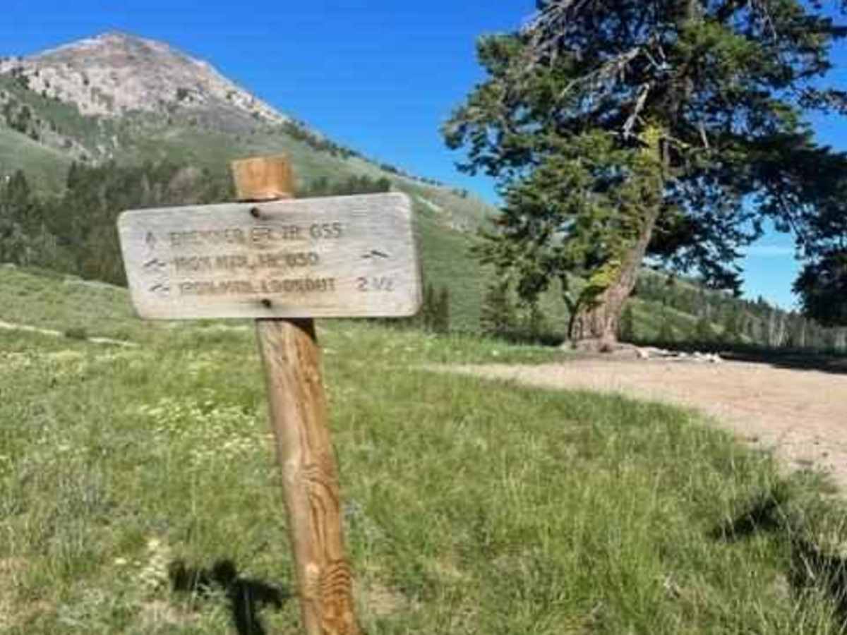 Bremner Trail trail photo
