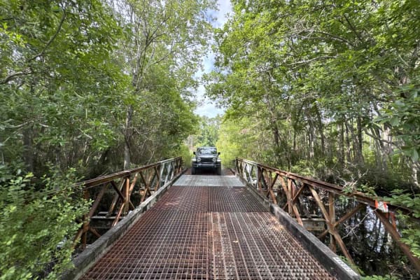 Warren Bluff Road